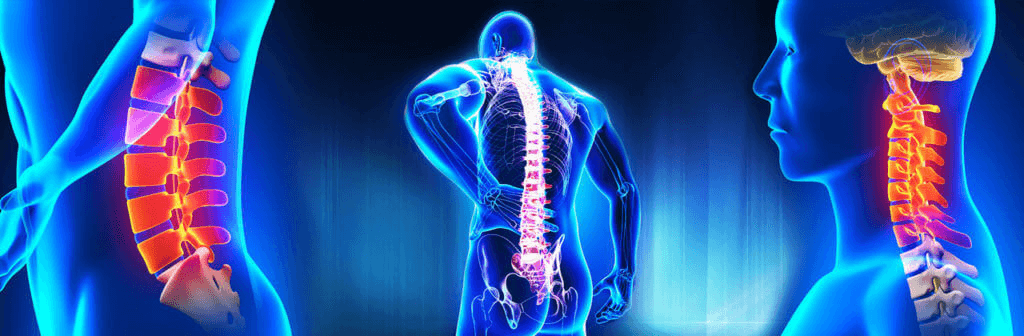 Illustration of the spine and neck anatomy